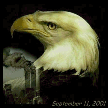 Sad Eagle Sad Eagle