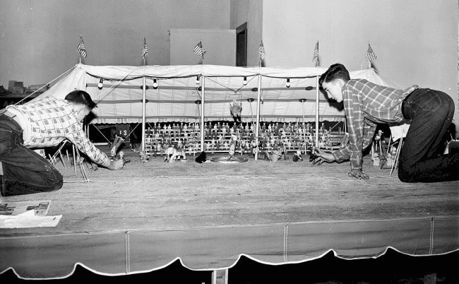 1950sMiniCircus