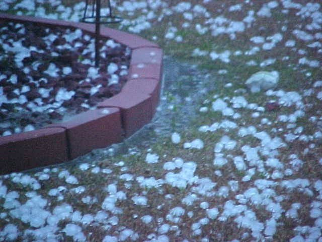 2/25/04 Whiteside Hail 04